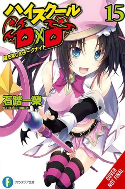 High School DxD, Vol. 15 (light novel) av Ichiei Ishibumi