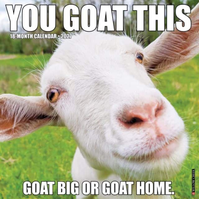You Goat This 2027 Wall av Willow Creek Press