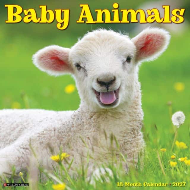 Baby Animals 2027 Wall av Willow Creek Press