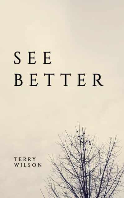See Better av Terry Wilson
