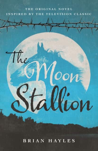 The Moon Stallion av Brian Hayles