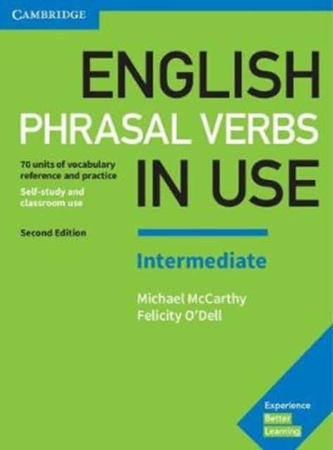 English Phrasal Verbs in Use av Felicity O'Dell
