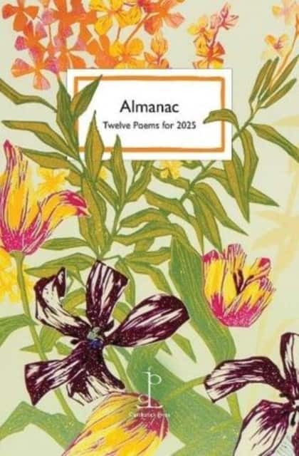 Almanac av Di Slaney