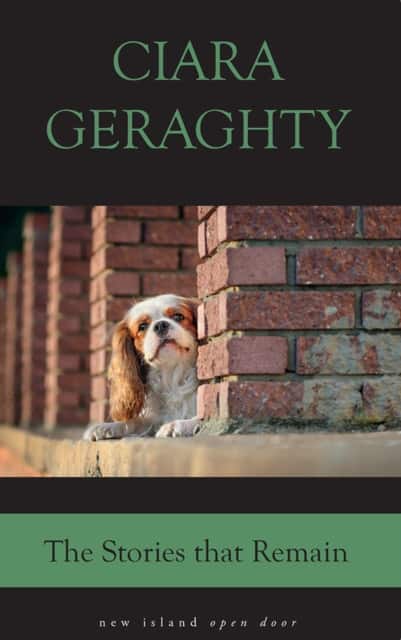 The Stories That Remain av Ciara Geraghty