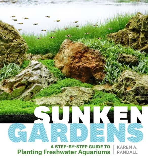 Sunken Gardens av Karen A. Randall