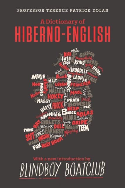 A Dictionary of Hiberno English av Terence Patrick Dolan
