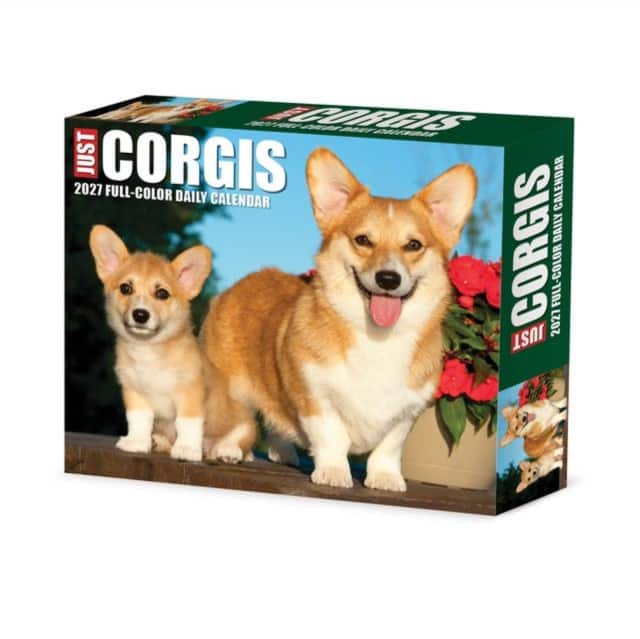 Corgis 2027 Box av Willow Creek Press