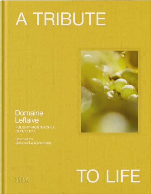 A Tribute to Life