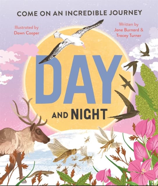 Day and Night