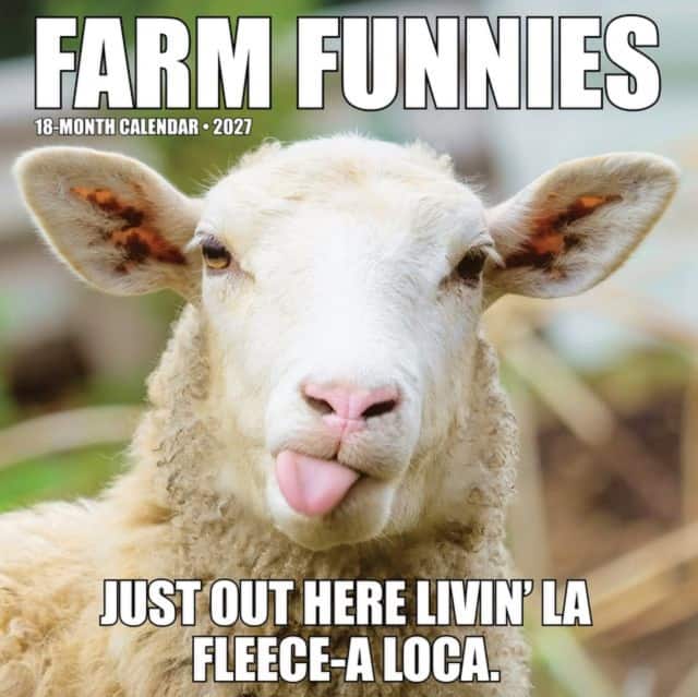 Farm Funnies 2027 Wall av Willow Creek Press