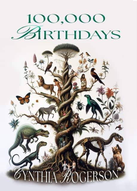 100,000 Birthdays av Cynthia Rogerson