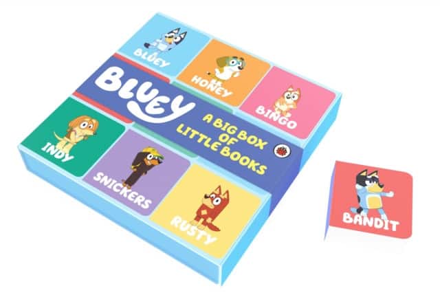 Bluey: Big Box of Little Books av Bluey