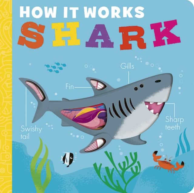 How it Works: Shark av Molly Littleboy