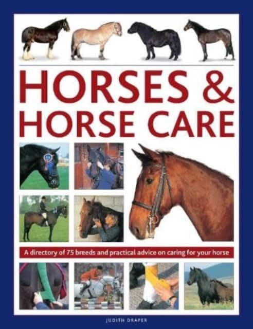 Horses & Horse Care av Judith Draper