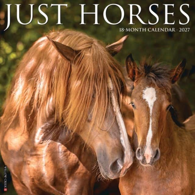 Horses 2027 Wall av Willow Creek Press