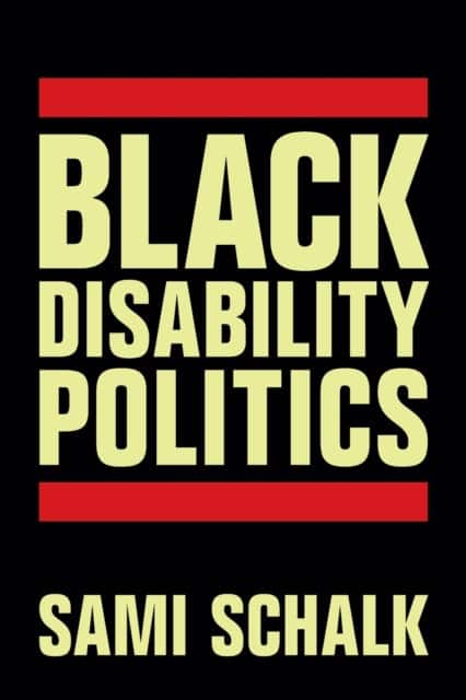 Black Disability Politics av Sami Schalk