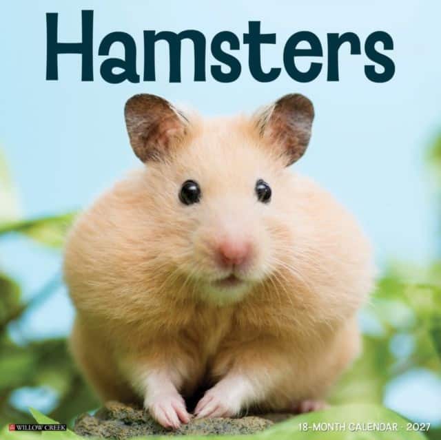 Hamsters 2027 Wall av Willow Creek Press