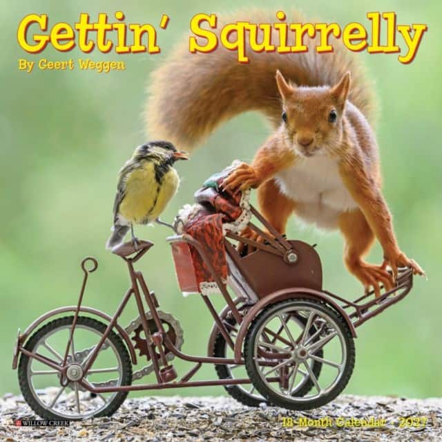 Gettin' Squirrelly 2027 Mini av Willow Creek Press