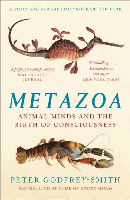 Metazoa av Peter Godfrey-Smith
