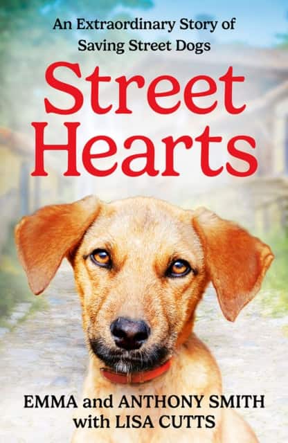 Street Hearts av Emma Smith