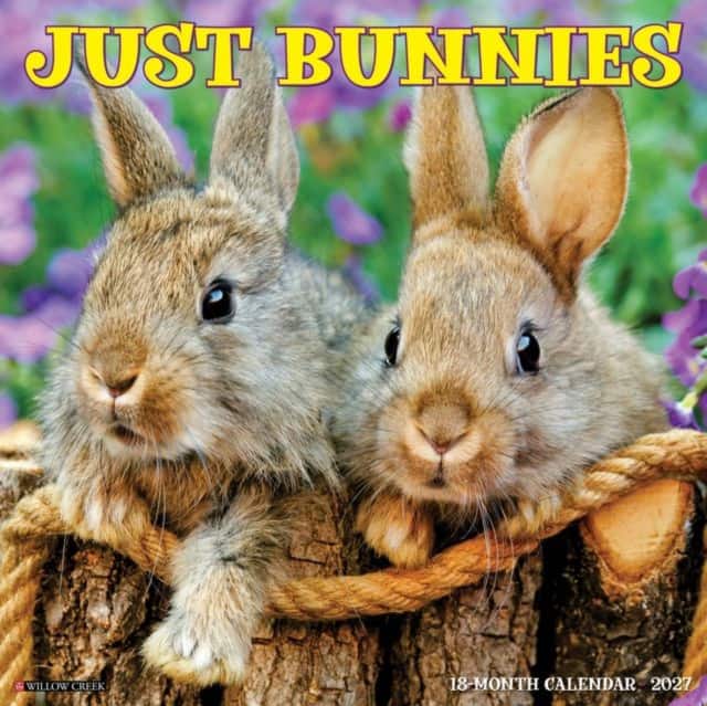 Bunnies 2027 Wall av Willow Creek Press
