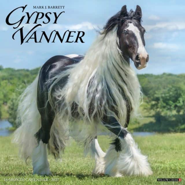 Gypsy Vanner Horse 2027 Wall av Willow Creek Press