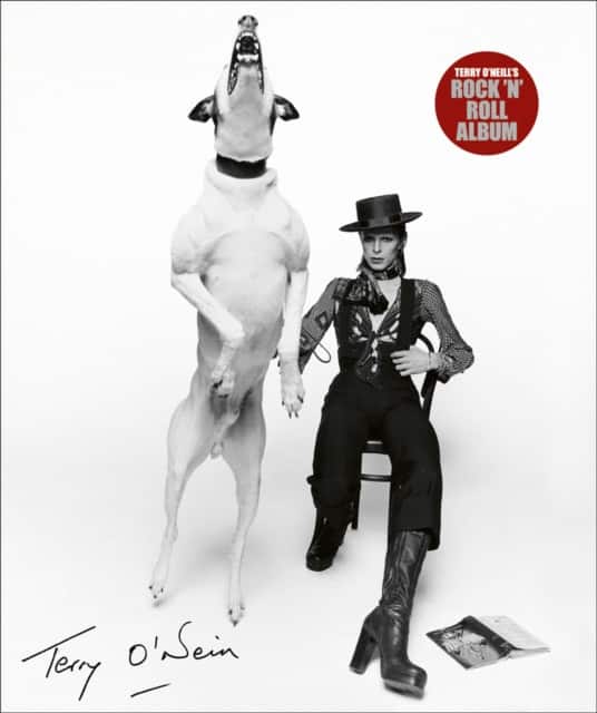 Terry O'Neill's Rock 'n' Roll Album av Terry O'Neill