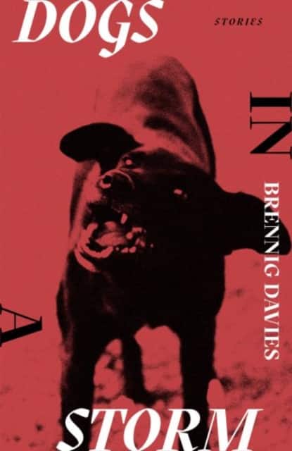 Dogs in a Storm av Brennig Davies
