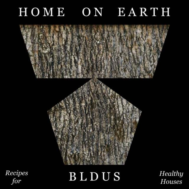 Home on Earth av Andrew Linn