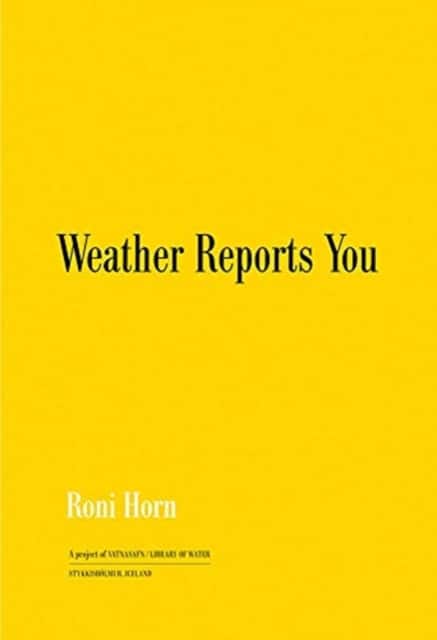 Weather Reports You av Roni Horn
