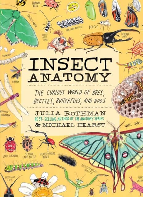 Insect Anatomy av Julia Rothman