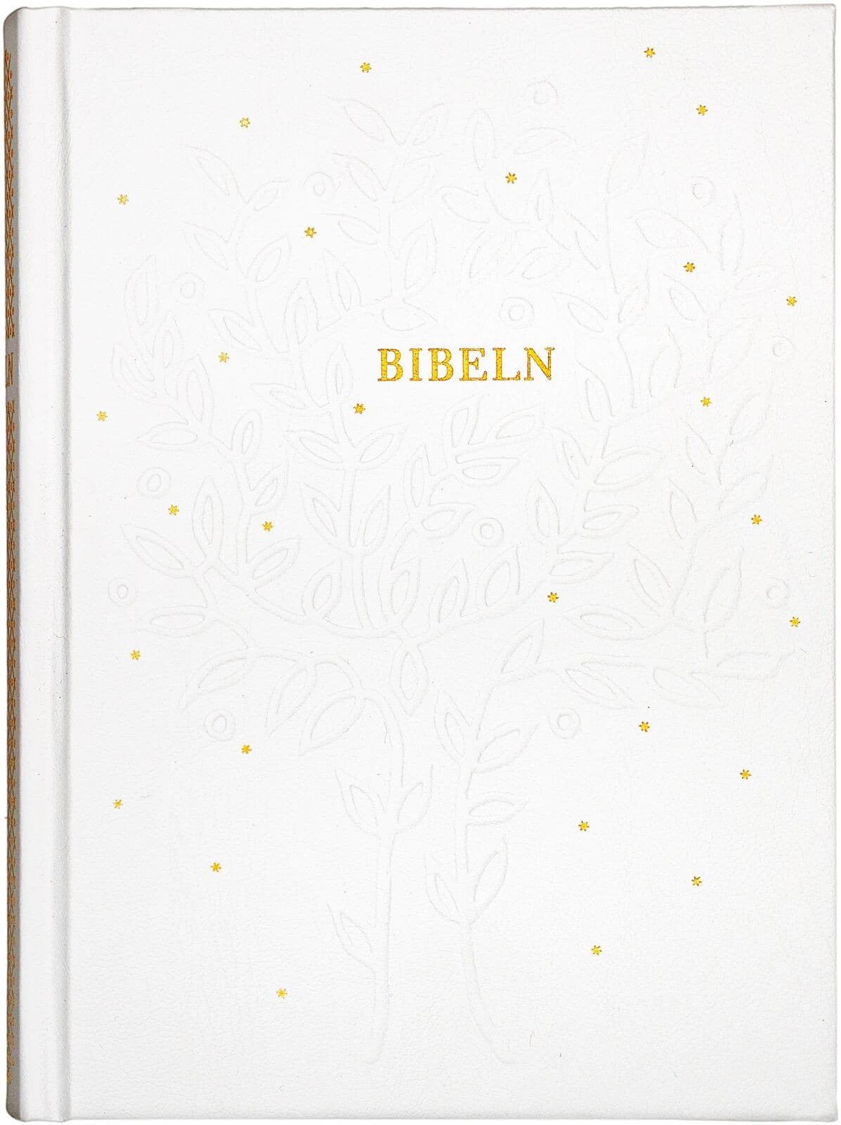 Bibel 2026 naturvit