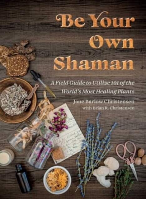 Be Your Own Shaman av Brian R. Christensen