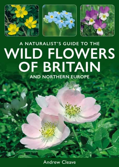 A Naturalist’s Guide to the Wild Flowers of Britain & North-West Europe av Andrew Cleave