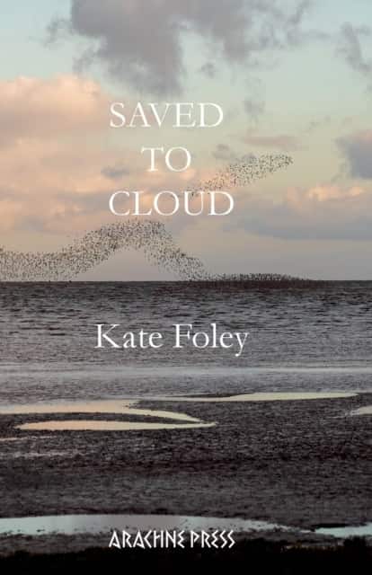 Saved to Cloud av Kate Foley