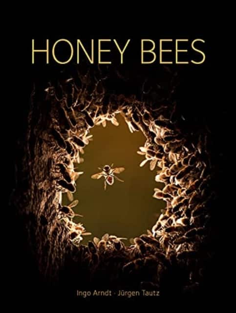 Honey Bees av Jurgen Tautz