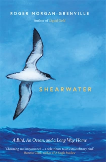 Shearwater