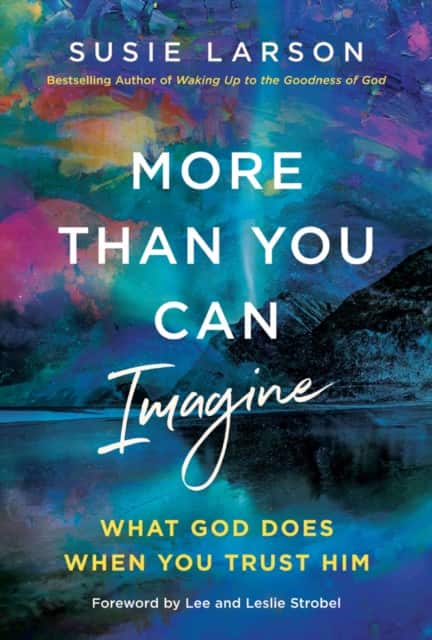 More Than You Can Imagine av Susie Larson