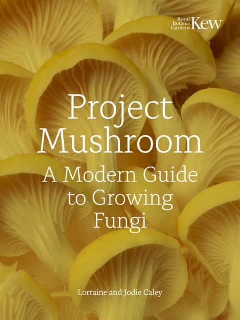 Project Mushroom av Lorraine Caley