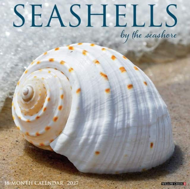 Seashells 2027 Wall av Willow Creek Press