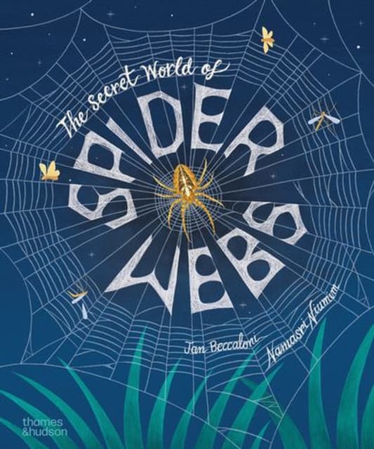The Secret World of Spiderwebs