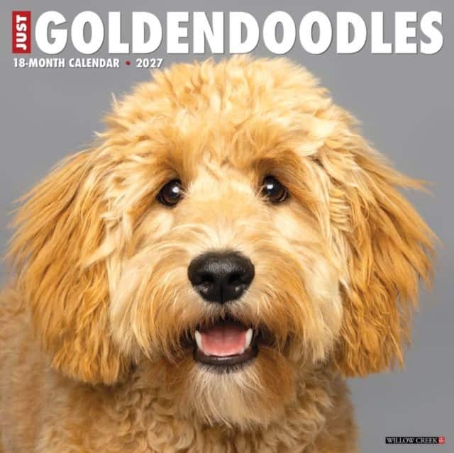 Goldendoodles 2027 Wall av Willow Creek Press