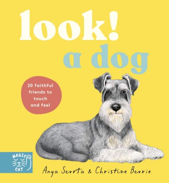LOOK! A Dog av Anya Serota