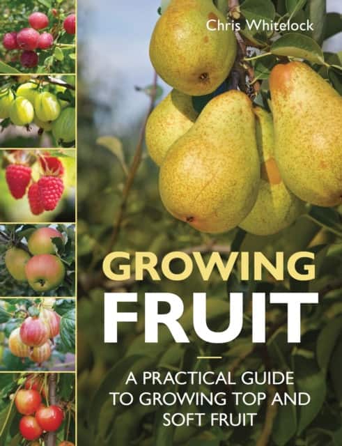 Growing Fruit av Chris Whitelock