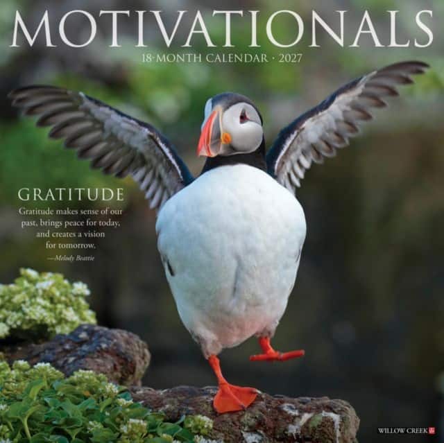 Motivationals 2027 Wall av Willow Creek Press