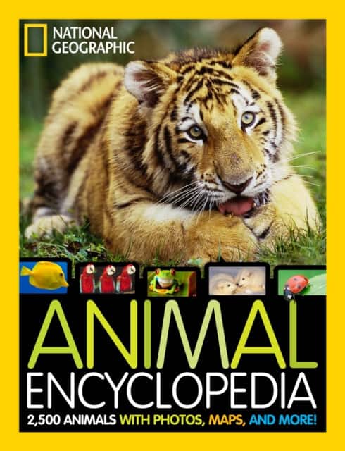 Animal Encyclopedia av Lucy Spelman
