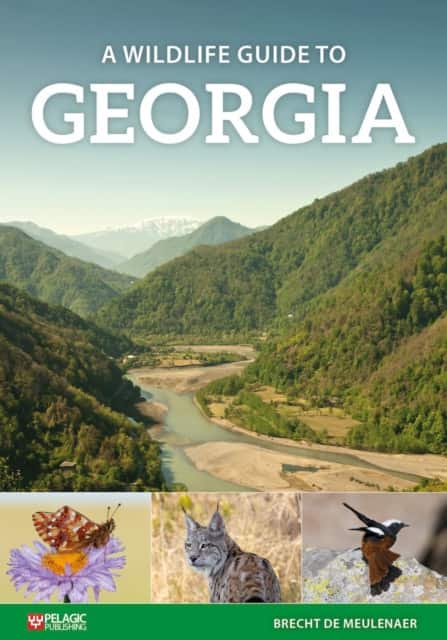 A Wildlife Guide to Georgia av Brecht De Meulenaer