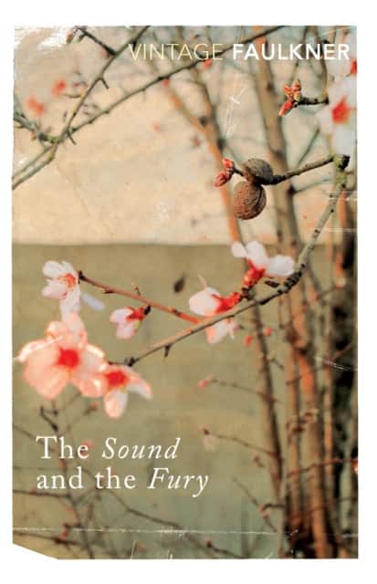 The Sound and the Fury av William Faulkner