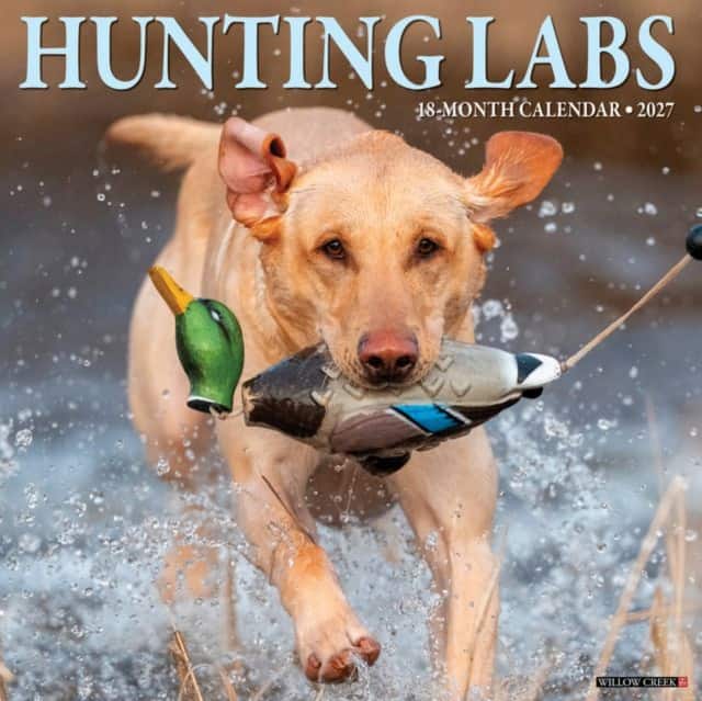 Hunting Labs 2027 Wall av Willow Creek Press