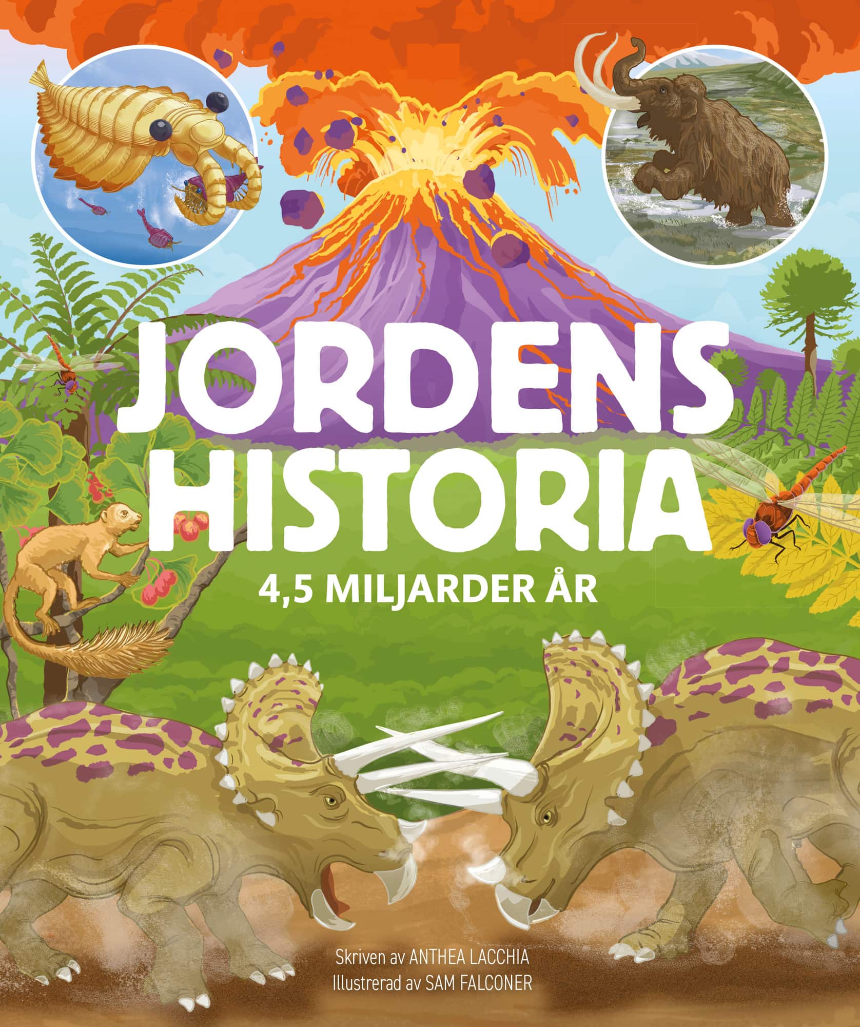 Jordens historia : 4,5 miljarder år av Anthea Lacchia